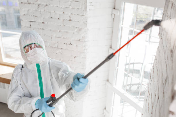 Best Forensic Mold Investigation  in Pine Beach, NJ