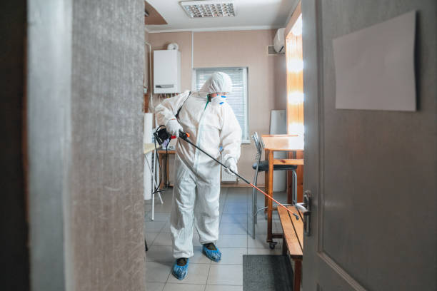 Best Comprehensive Air Testing for Mold Contaminants  in Pine Beach, NJ