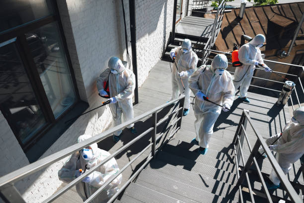 Best Mold Prevention Services  in Pine Beach, NJ