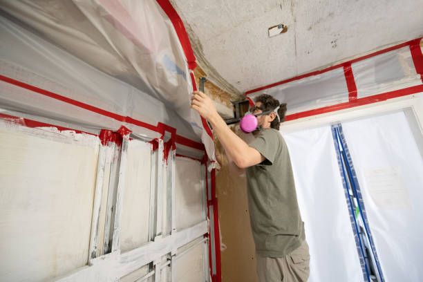 Best Air Quality Testing for Mold Spores  in Pine Beach, NJ