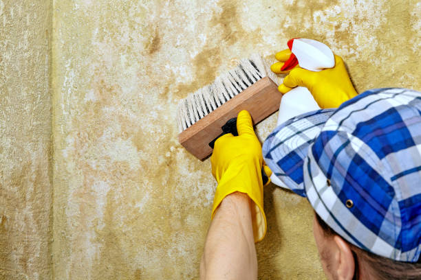 Best HVAC Mold Inspection and Cleaning  in Pine Beach, NJ