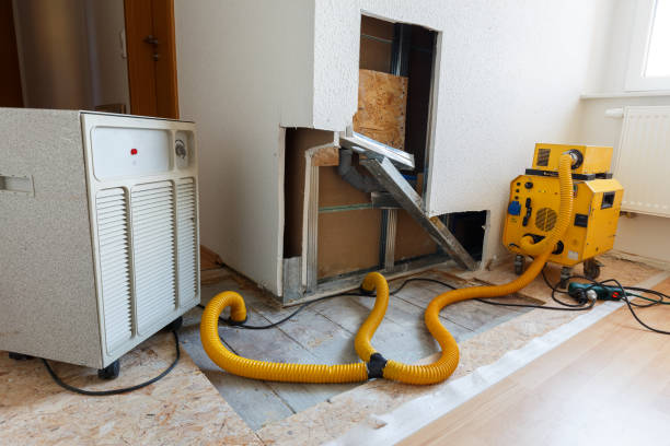 Best HVAC Mold Inspection and Cleaning  in Pine Beach, NJ