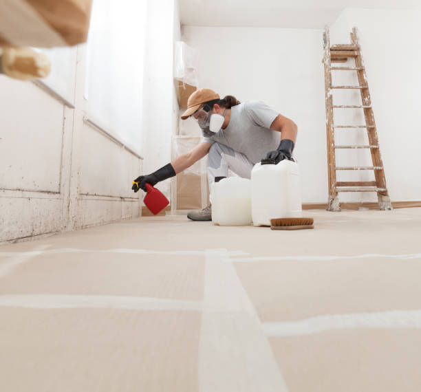 Best Crawl Space Mold Remediation  in Pine Beach, NJ