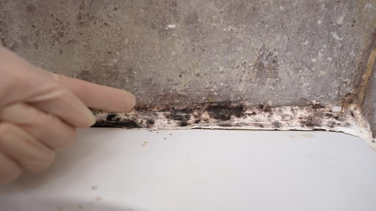 Best Post-Remediation Verification Testing  in Pine Beach, NJ